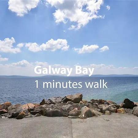 Periwinkle Galway