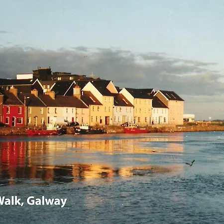 Periwinkle Galway